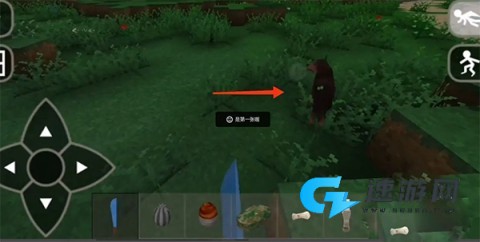 生存战争野人岛 第5张图