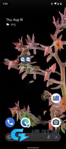 TeamViewer 第15张图