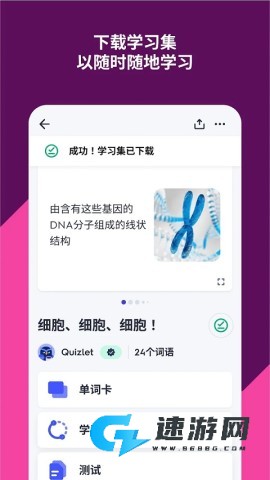 Quizlet中文版