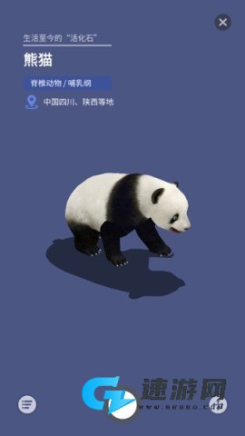 大眼探世界地球仪