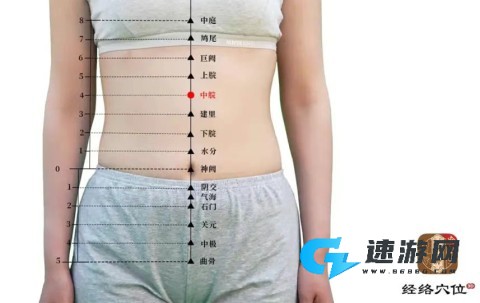 知源经络穴位 第3张图