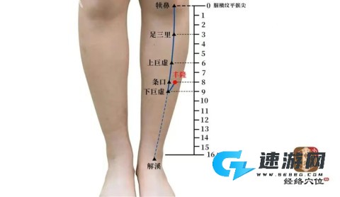 知源经络穴位 第2张图