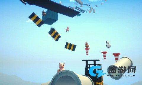 攀爬动物在一起