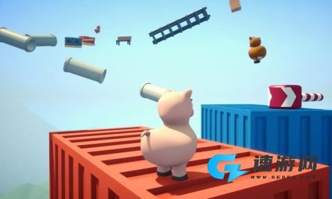 攀爬动物在一起