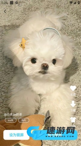 万能主题组件 第9张图