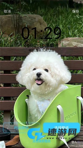 万能主题组件 第8张图