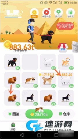 旅行世界 第7张图