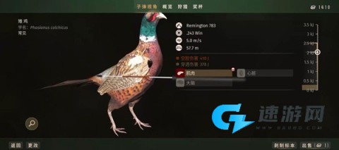 猎人之路 第11张图