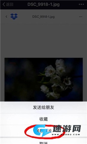 Dropbox 第4张图