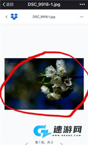 Dropbox 第3张图