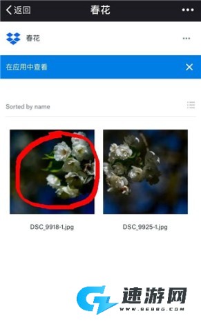 Dropbox 第2张图