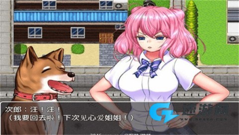野 良 犬 的 寝 室