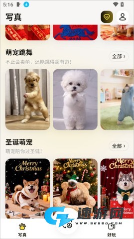 宠玩 第3张图