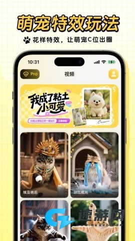 宠玩