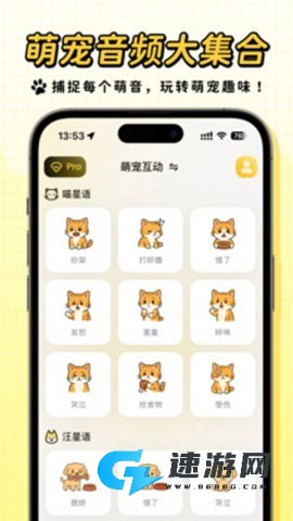 宠玩
