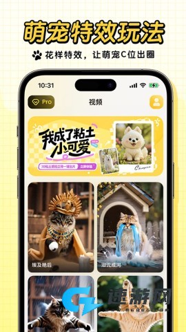 宠玩