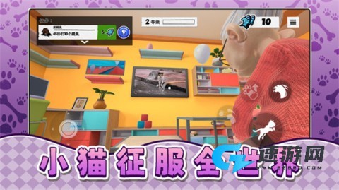 我是宠物我怕谁