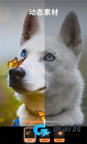 Pixaloop
