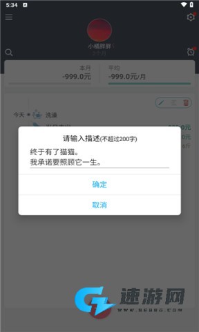 猫咪成长记