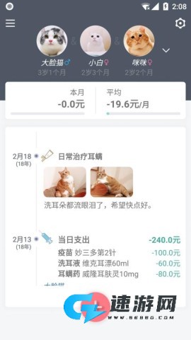 猫咪成长记