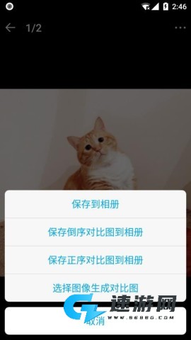 猫咪成长记