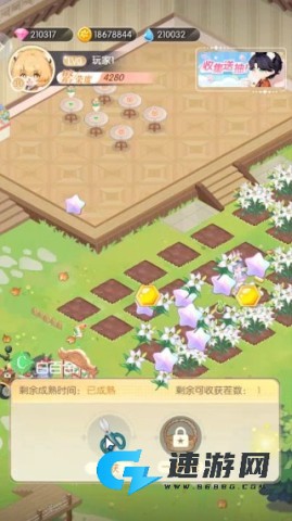 明星花店 第4张图