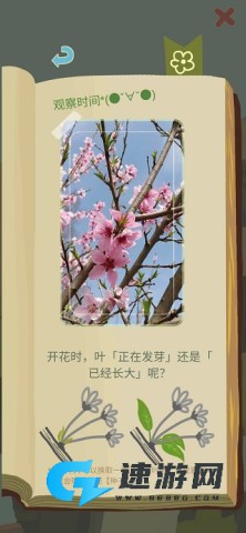 老农种树 第13张图