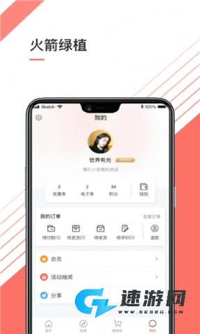 火箭绿植 第2张图