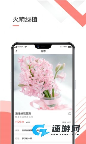 火箭绿植 第3张图
