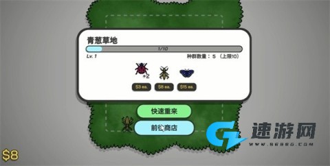虎皮鹦鹉的昆虫小店