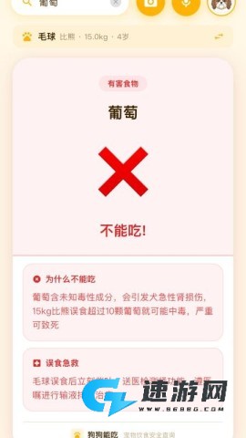 狗狗能吃 第2张图