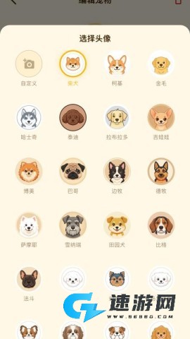 狗狗能吃