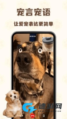 猫狗语言翻译通