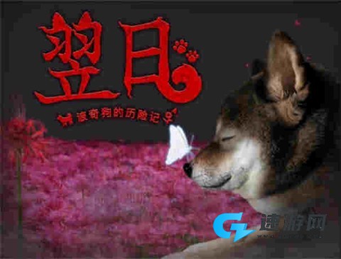 翌日-波奇狗的历险记
