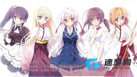 五色浮影绽放于花之海洋 第2张图