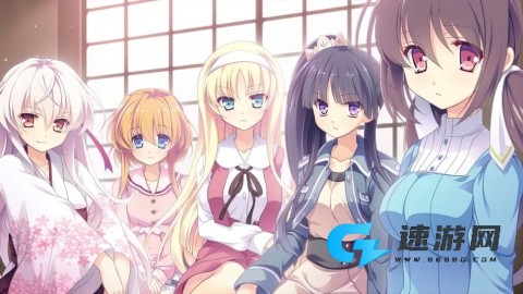 五色浮影绽放于花之海洋 第1张图