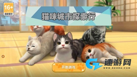 猫咪城市探索行 猫咪城市探索行 第1张图