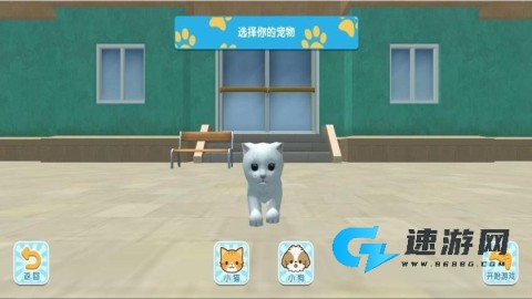 猫咪城市探索行