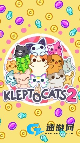 小偷猫2