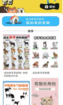 肥猫看看
