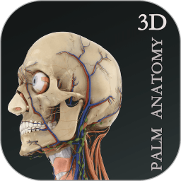 掌上3d解剖