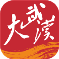 大武汉app