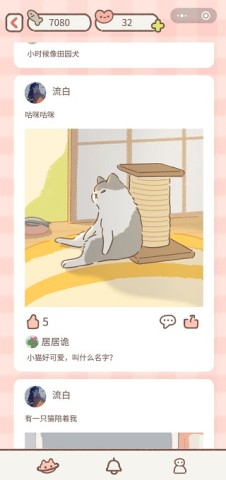 遇见我的猫 第3张图