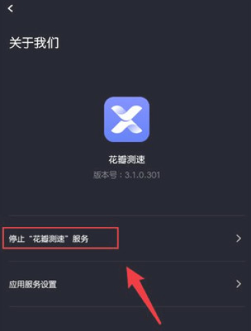 花瓣测速 第9张图