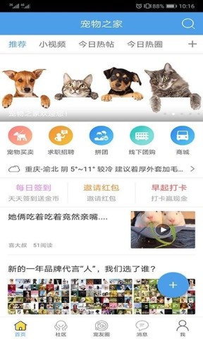 宠物之家 第4张图