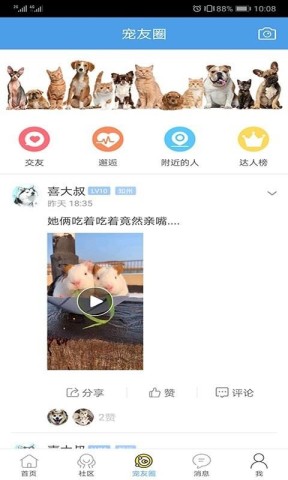 宠物之家 第3张图