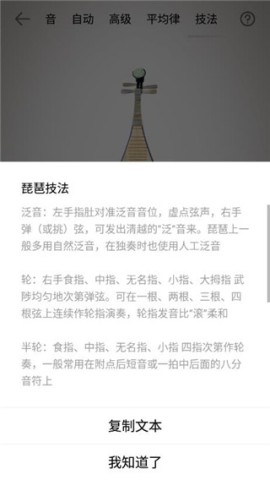 琵琶调音器 第2张图