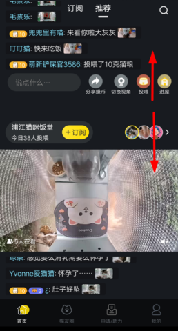 哈啰街猫app官网版 第1张图