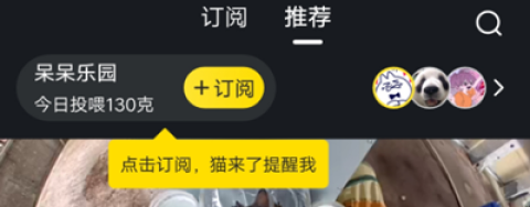 哈啰街猫app官网版 第3张图