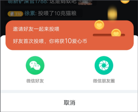 哈啰街猫app官网版 第4张图